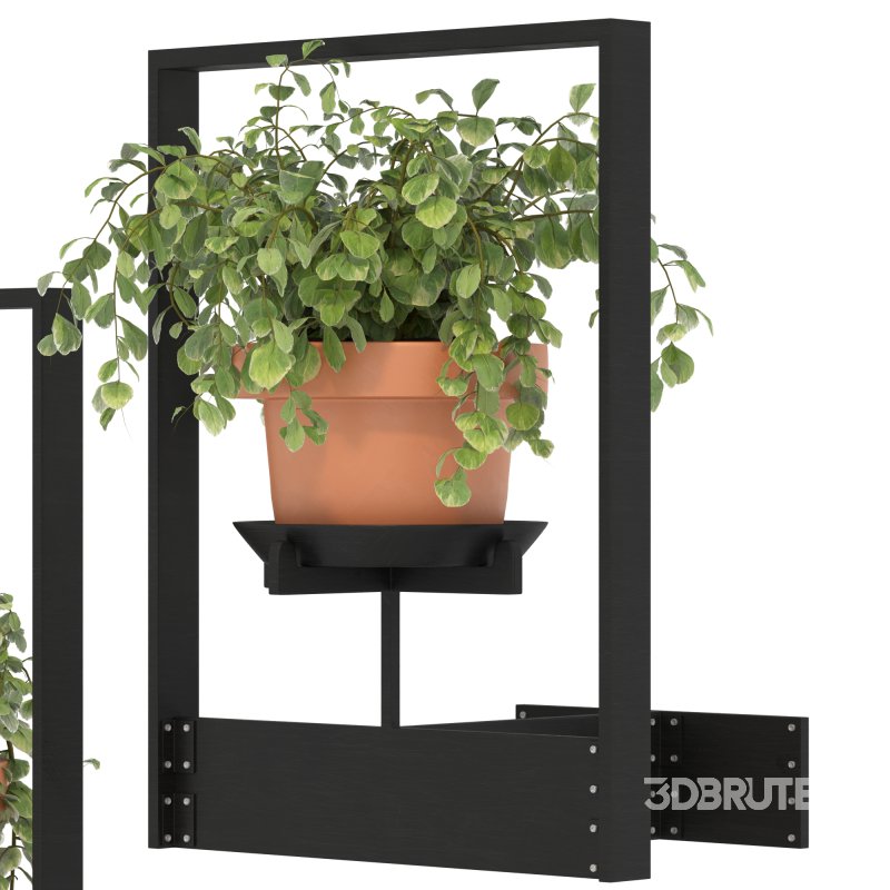 Boho Hanging Plants 04 Image 8