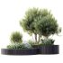 AV OutdoorPlant Landscape Alpine Hill Architectural Design Garden Greenery03 - Thumbnail 1
