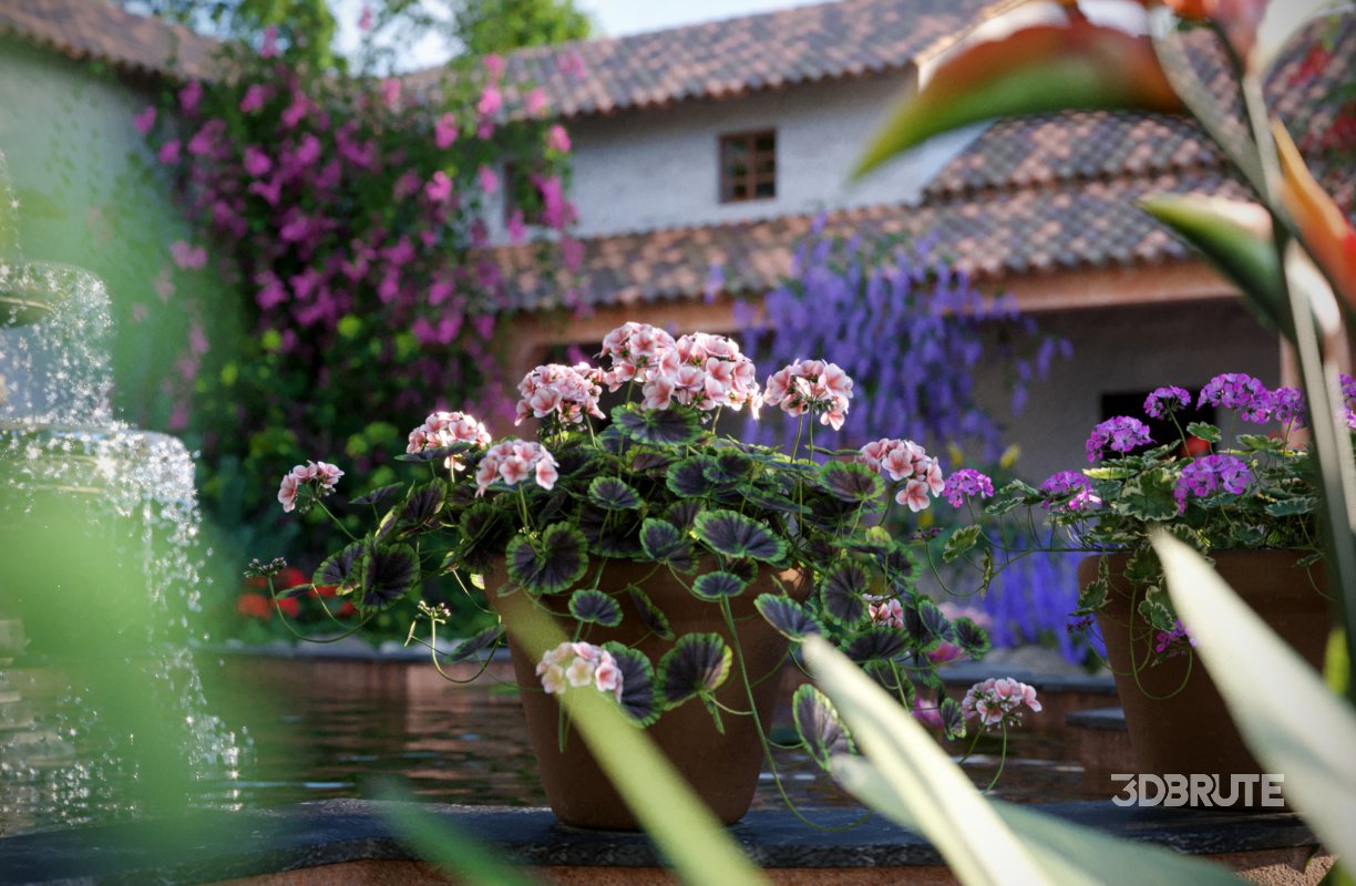 Collection 07 – Central America Garden Image 2