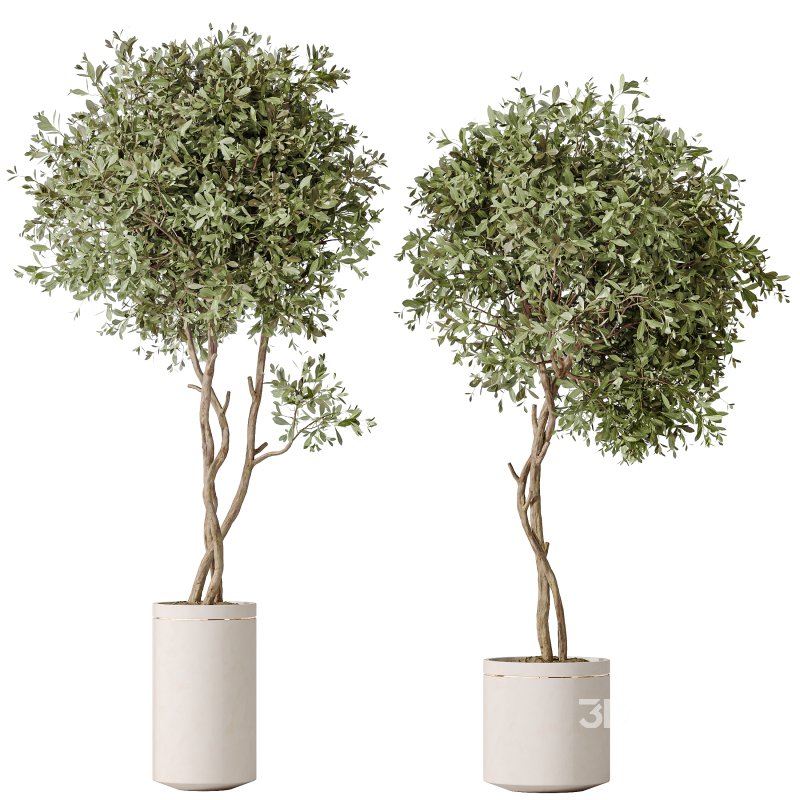 AV Indoor Plants Set 323 Olive Artificial Tree Image 1