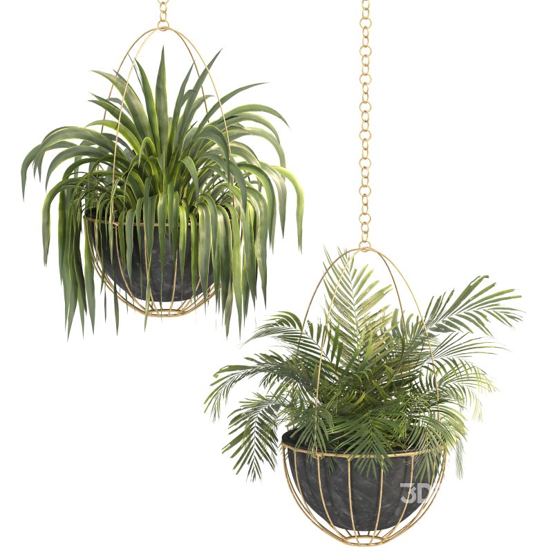Metal Hanging Plants 05 Image 8