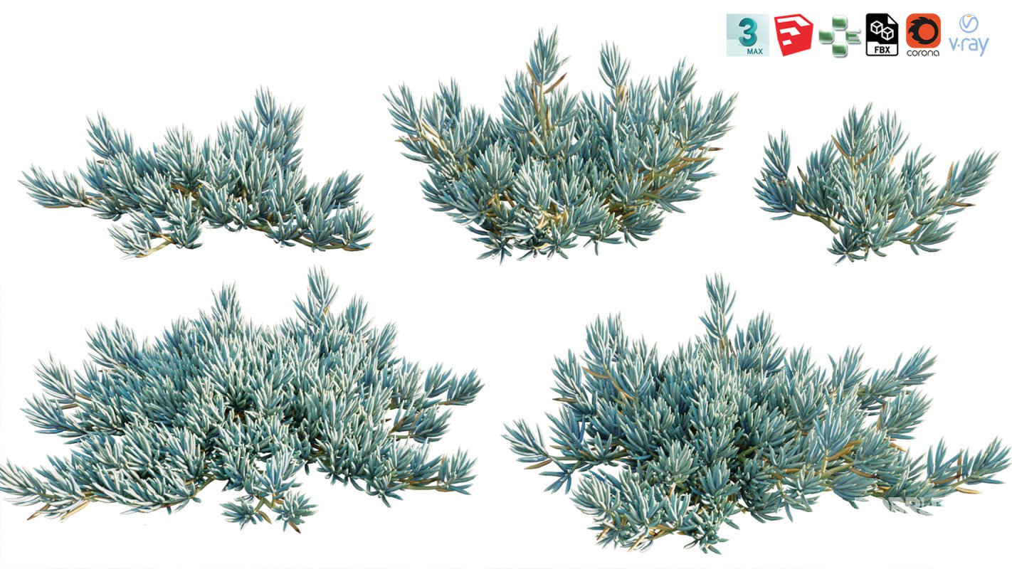 Collection 12 – Desert Garden Image 31