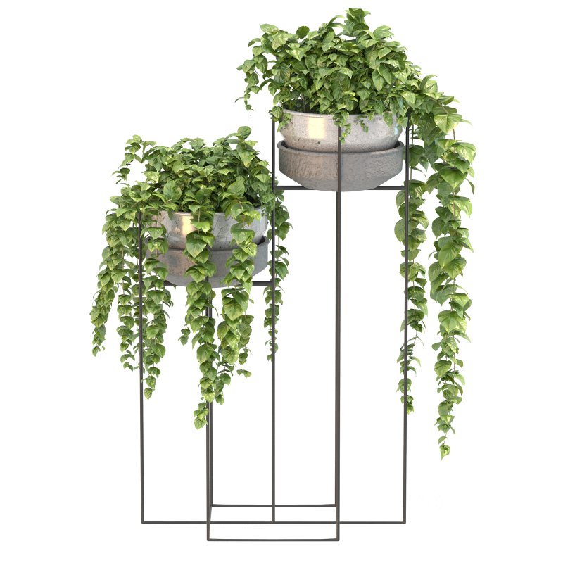 Metal Standing With Money Plant Image 3