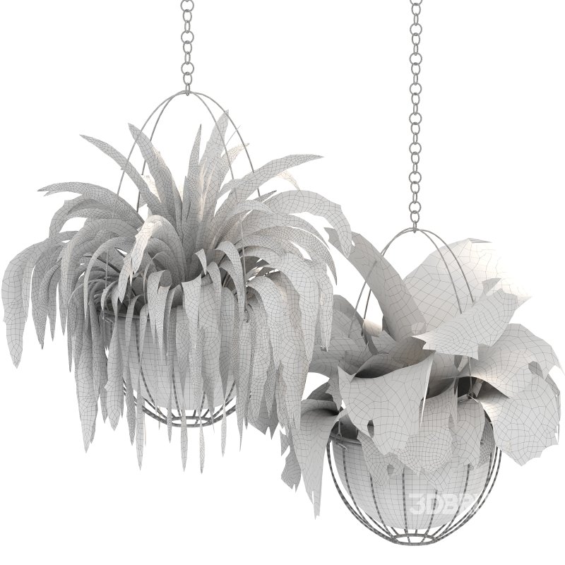 Metal Hanging Plants 05 Image 4