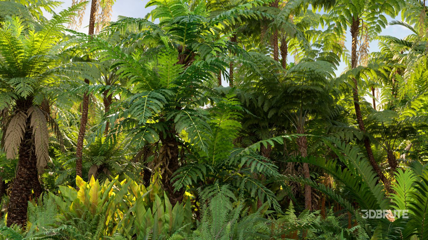 Collection 09 – Fern Garden Image 2