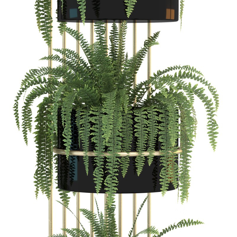 Metal Plant Set 04 Image 6