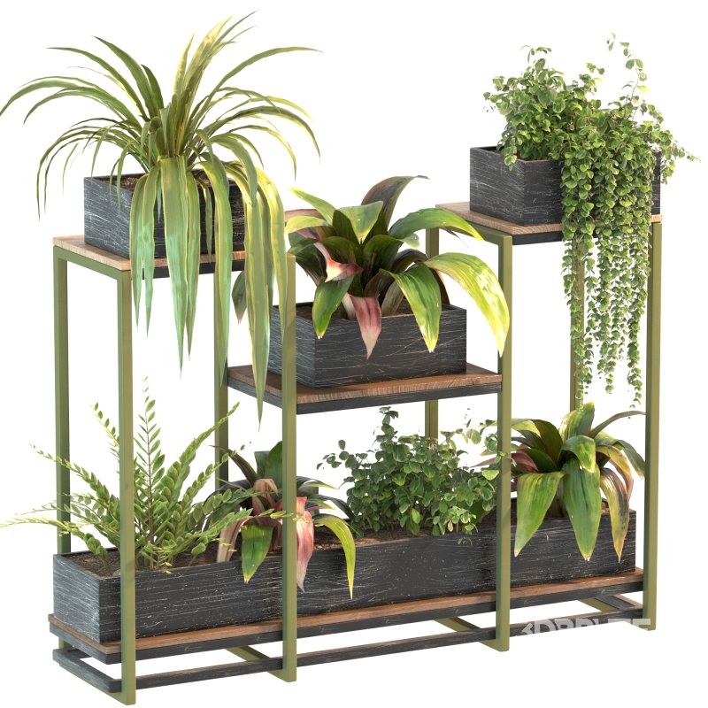 Plant Set 08 Image 4