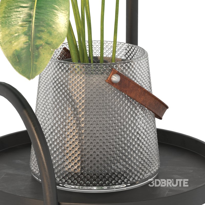 Metal Plant Set 03 Image 8