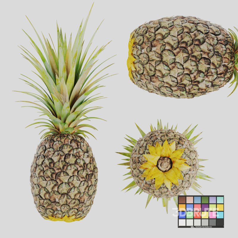 Ananas Image 1