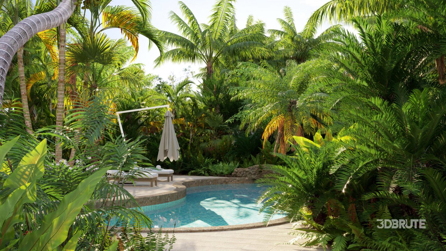 Collection 10 – Palm garden Image 2