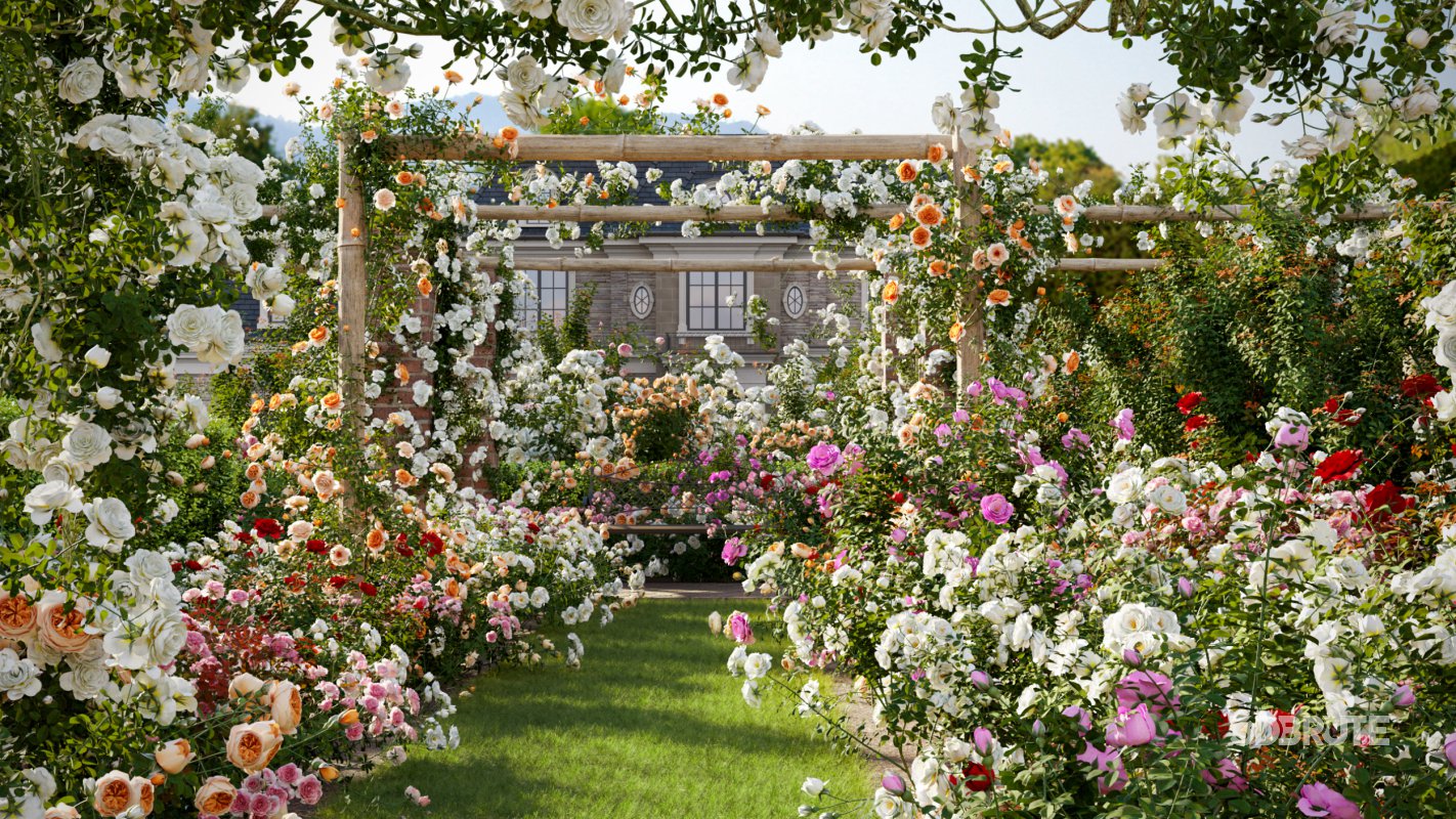 Collection 08 – Rose Garden Image 2