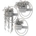 Modern Wall Planters With Geometric Designs - Thumbnail 3