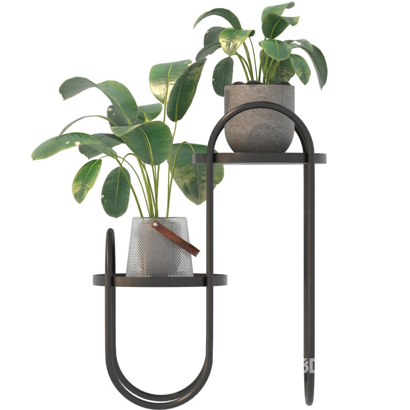 Metal Plant Set 03 Image 3