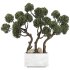 Topiary Pine Tree Set - Thumbnail 1
