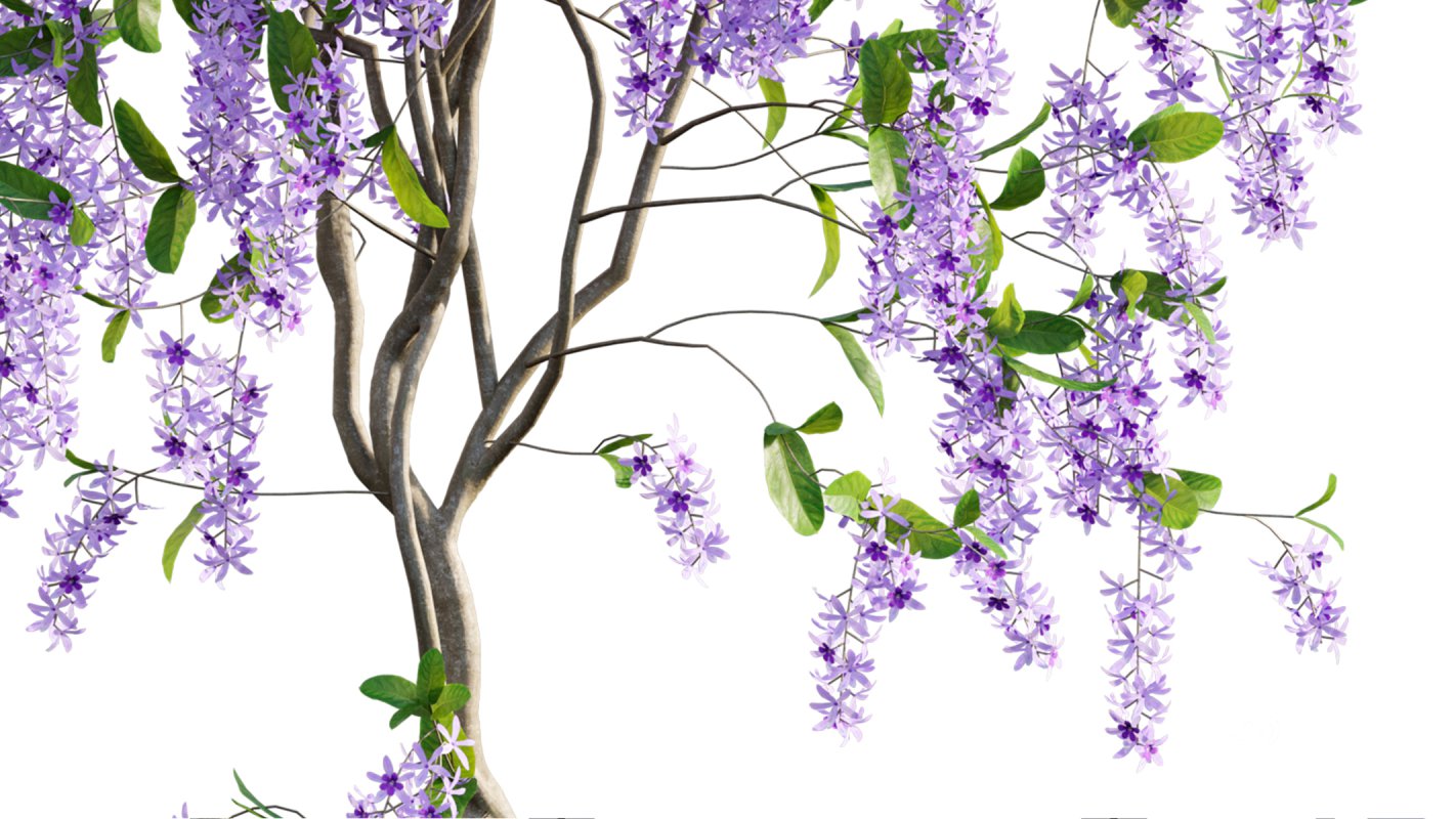 Collection 07 – Central America Garden Image 30