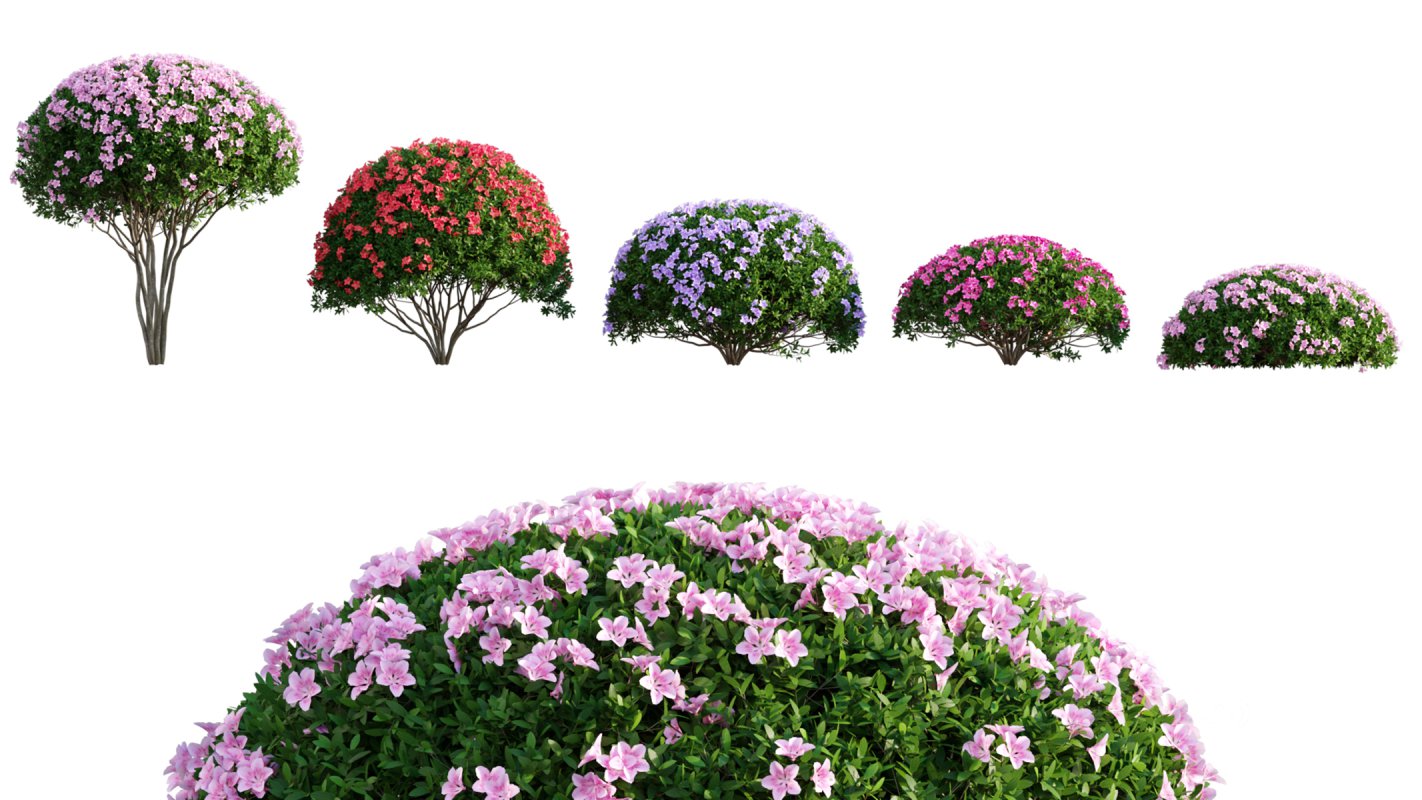 Collection 06 – Japanese Garden Image 7