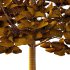 Tilia platyphyllos Tree 07 - Thumbnail 2