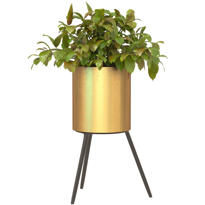 Metal Plant Set 05 Image 1