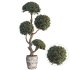 Indoor Topiary Ball Tree - Thumbnail 1