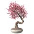 Bonsai Tree Set 001 - Thumbnail 3