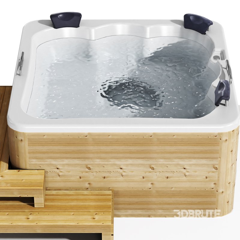 Jacuzzi 04 Bathtub Image 2