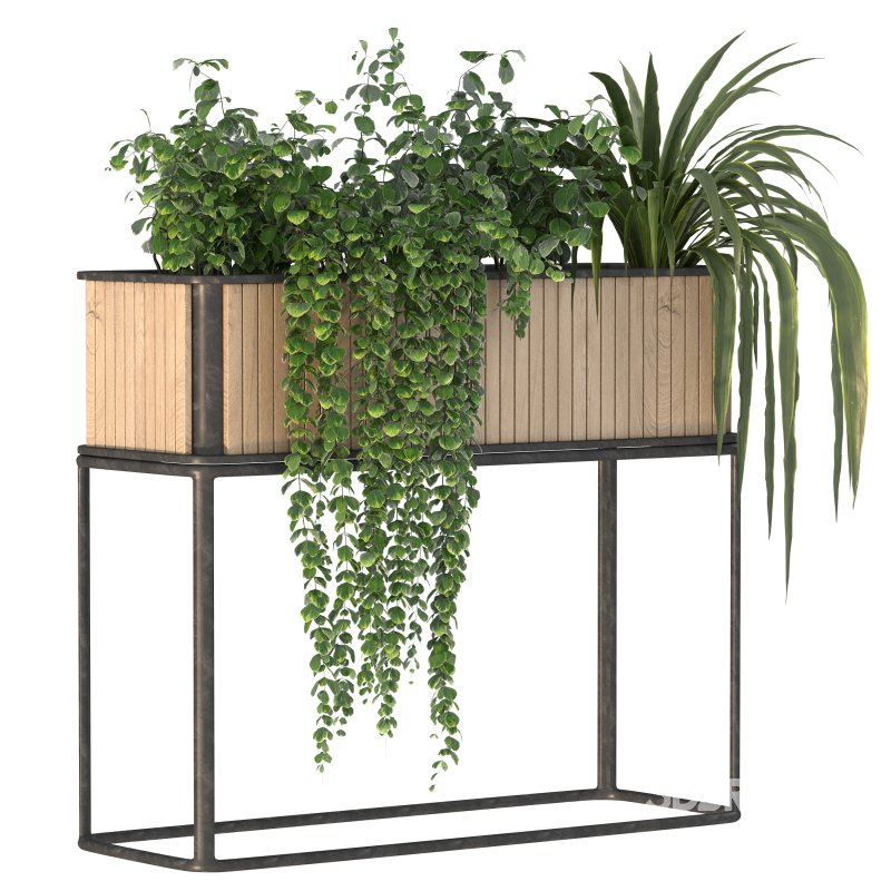 Plant Set 09 Image 7