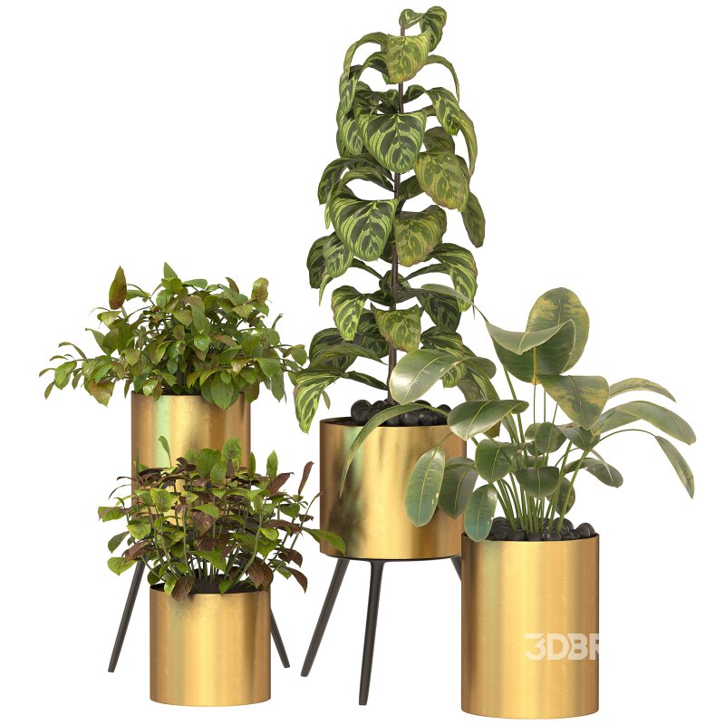 Metal Plant Set 05 Image 6