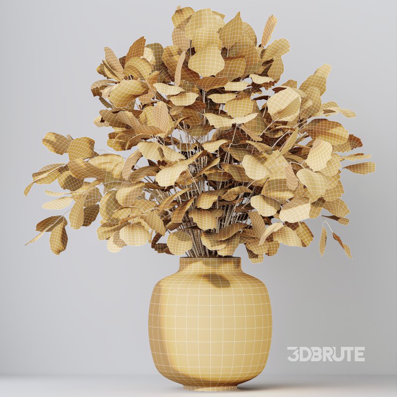 AV Indoor Plants Set 343 Eucalyptus Bouquet and Olive and Ficus Dracaena and Sansevieria Image 9