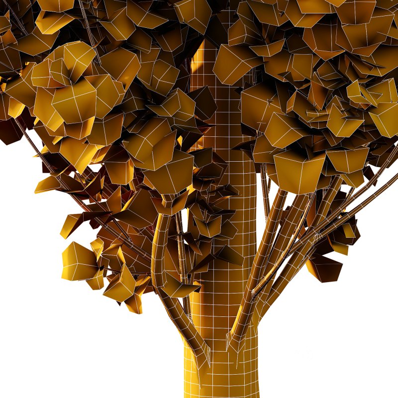 Different Trees 54 Image 4