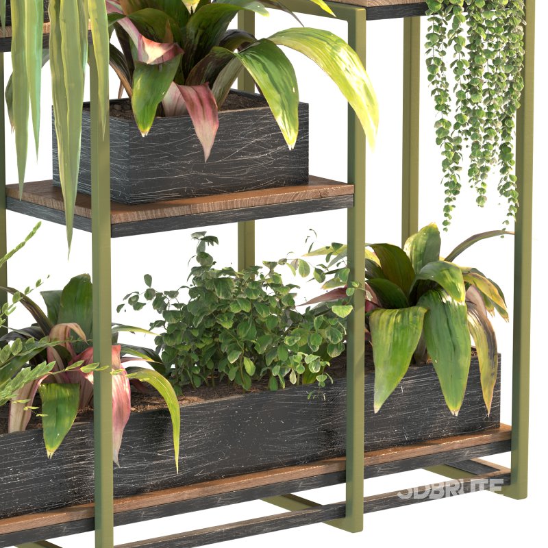 Plant Set 08 Image 7