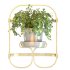 Golden Metal Hanging Plant - Thumbnail 7
