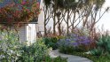 Collection 01 – Mediterrannean Garden (3D Model) - Thumbnail 1