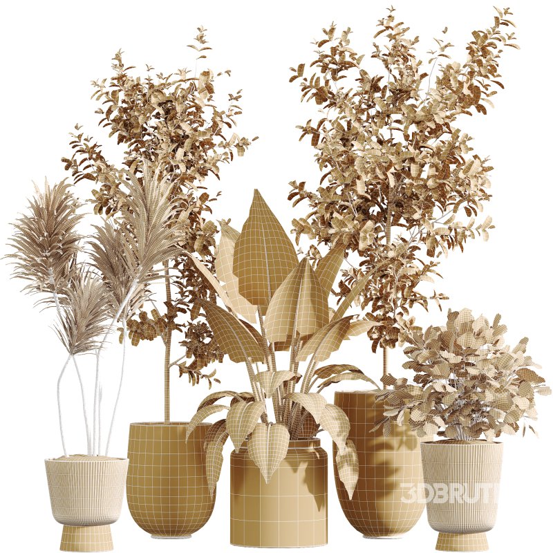 AV Indoor Plants Set 346 Alocasia Wentii and Olive Eucalyptus and Yucca Palm and Foliage Dollar Image 7