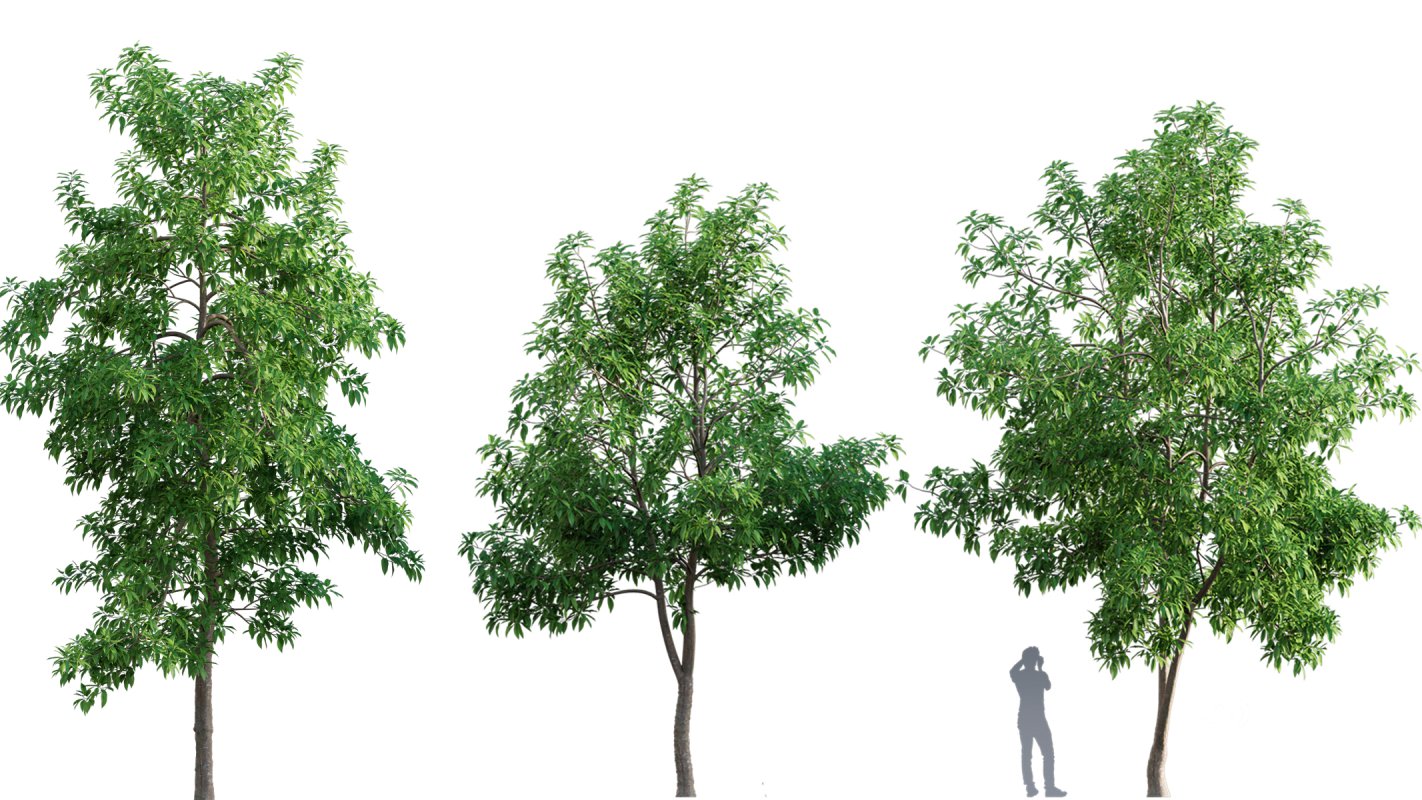 Collection 03 – Park Image 15