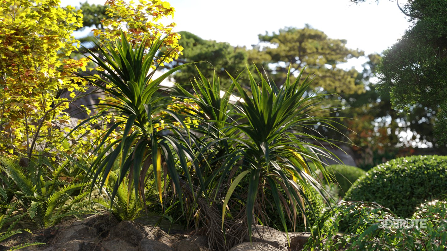 Collection 06 – Japanese Garden Image 3