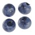 Blueberries - Thumbnail 2