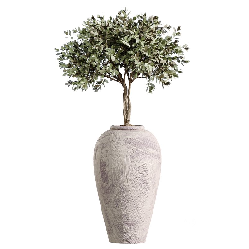 AV Indoor Plants Set 348 Olive Tree and Rhapis Excelsa Lady Palm and Warneckii Lemon Image 4