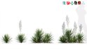 Collection 12 – Desert Garden - Thumbnail 40