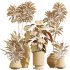 AV Indoor Plants Set 329 Euphorbia Drupifera and Spathiphyllum Lily and Monstera Deliciosa - Thumbnail 7