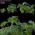 Monstera deliciosa 01 - Thumbnail 1