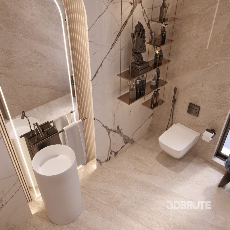 Luxury Unique Guest Bathroom Image 1