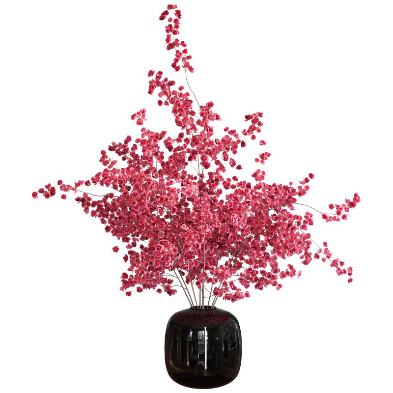 Bouquet indoor flower set Image 2