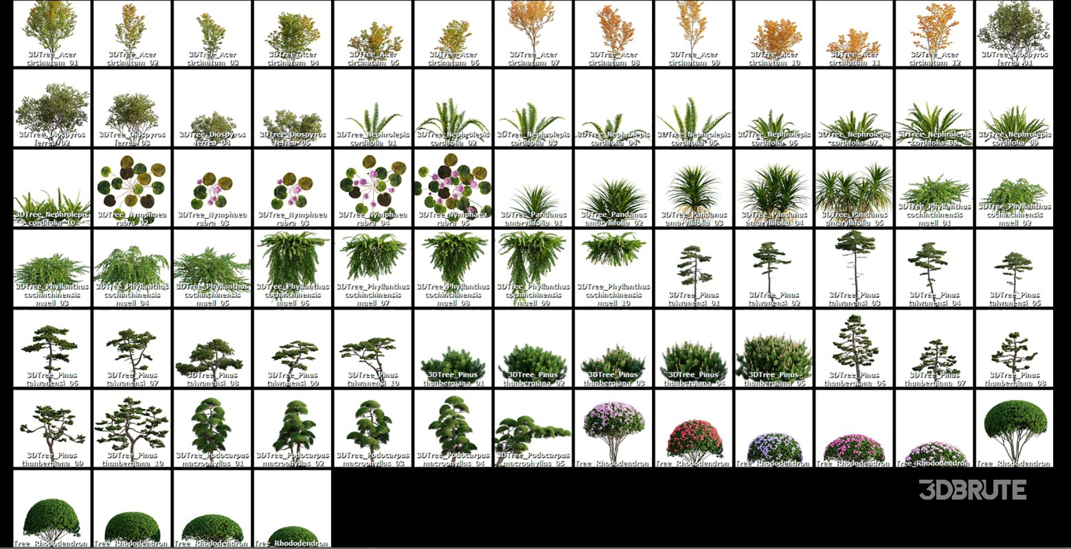 Collection 06 – Japanese Garden Image 21