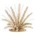 Natural dried pampas grass - Thumbnail 3