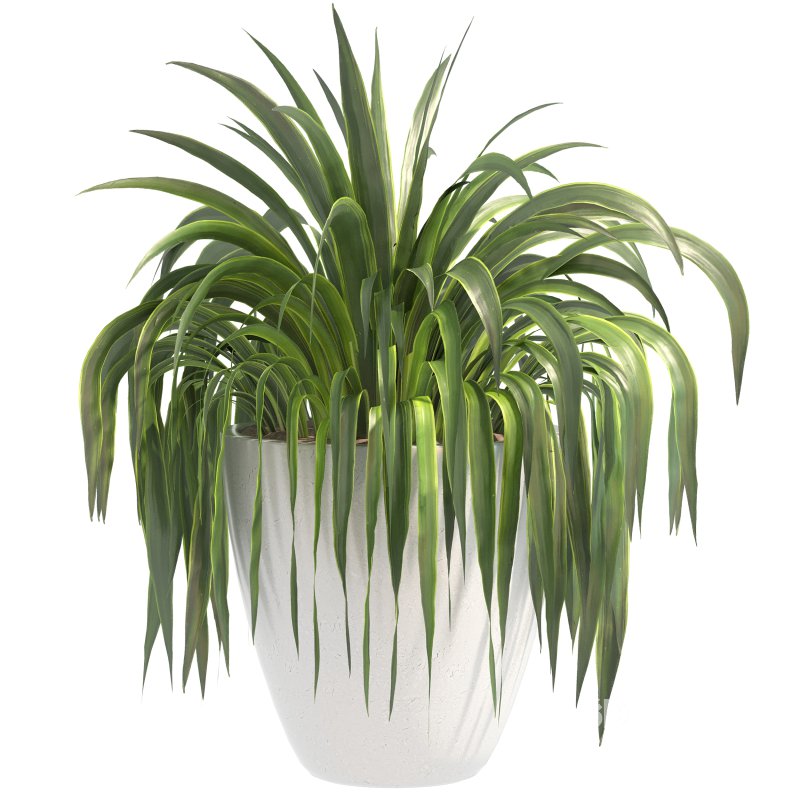 Stone Pot Plant Set Image 7