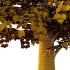 Tilia platyphyllos Tree 12 - Thumbnail 2