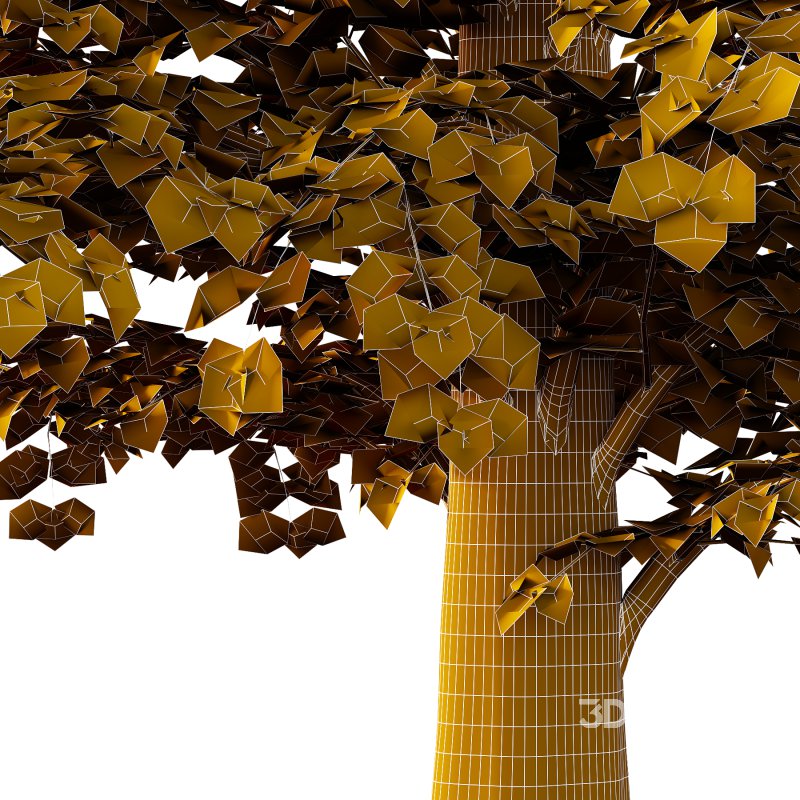 Tilia platyphyllos Tree 12 Image 2