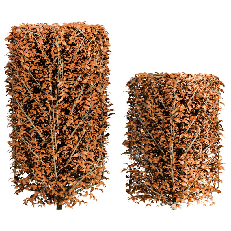 Autumn Bush Plants Set Image 2