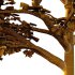 Sycamore Platanus Tree 03 - Thumbnail 3