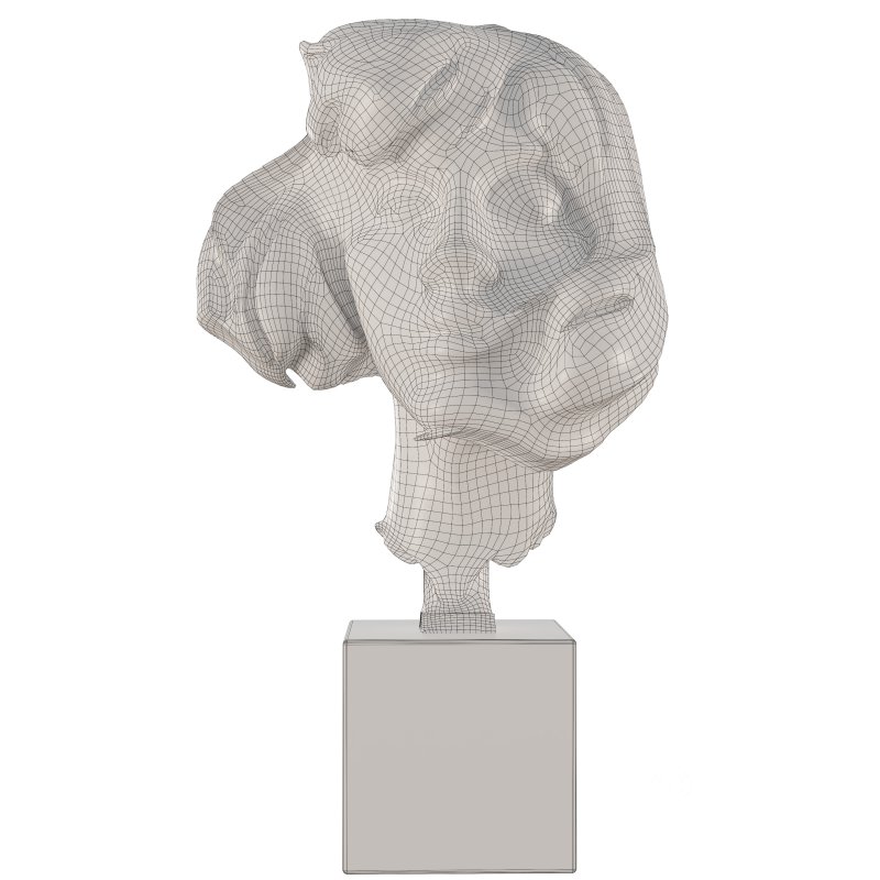 Clay Head Woman Image 1